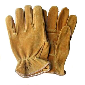 Work Gloves