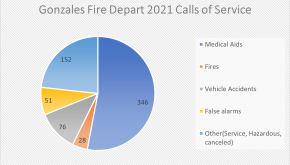 Pie chart for calls of service of 2021