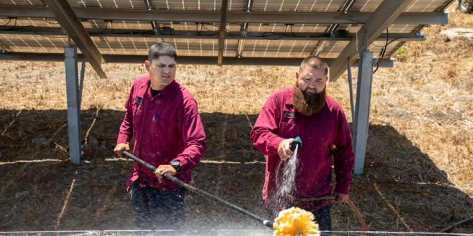 Workers cleaning solar panels
