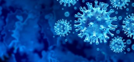 Image of Cornonavirus (COVID-19)