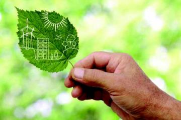 Leaf with illustration of sustainable energy drawn on it being held in a male right hand