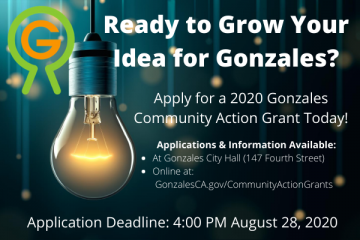2020 Community Action Grant Ad Photo: Light bulb, Gonzales Way Logo