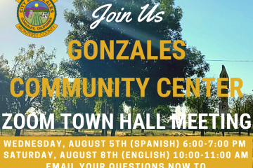 Community Center Town Hall Meeting