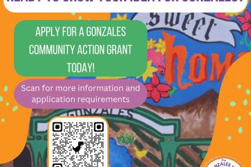 Community Action Grant
