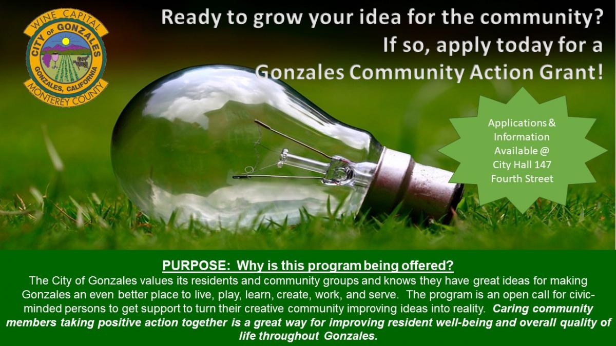 2019 Community Action Grants Open Photo: Lightbulb on lawn, city logo