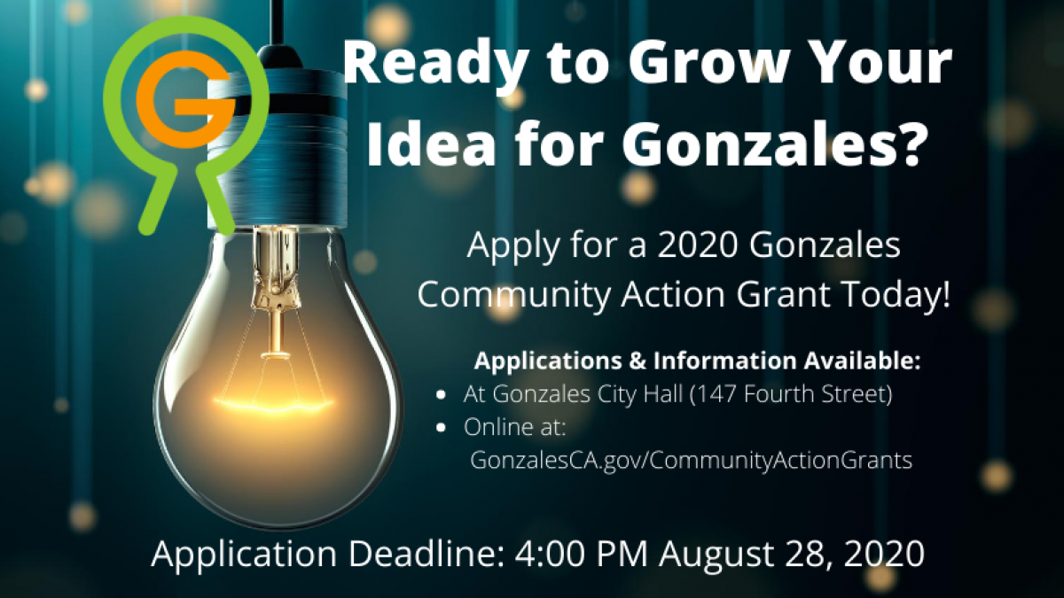 2020_Community Action Grants Photo: Light bulb, Gonzales Way Logo
